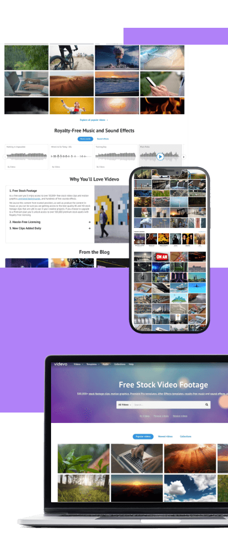 Videvo Page Website Desktop